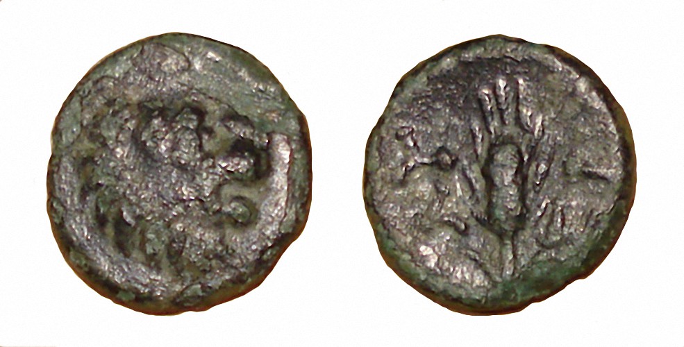 My-First-Animal-On-A-Coin.