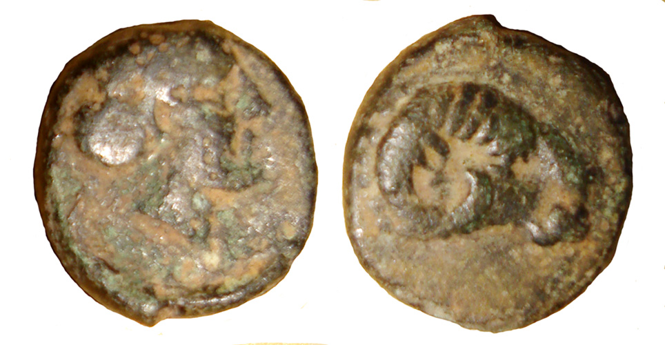 My-First-Animal-On-A-Coin.