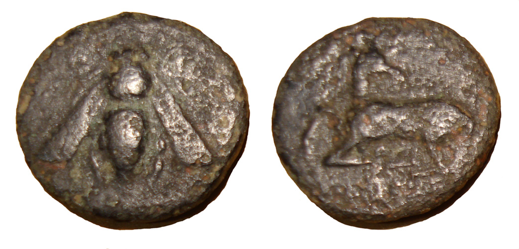 My-First-Animal-On-A-Coin.