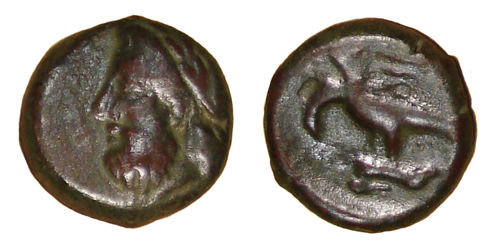 My-First-Animal-On-A-Coin.