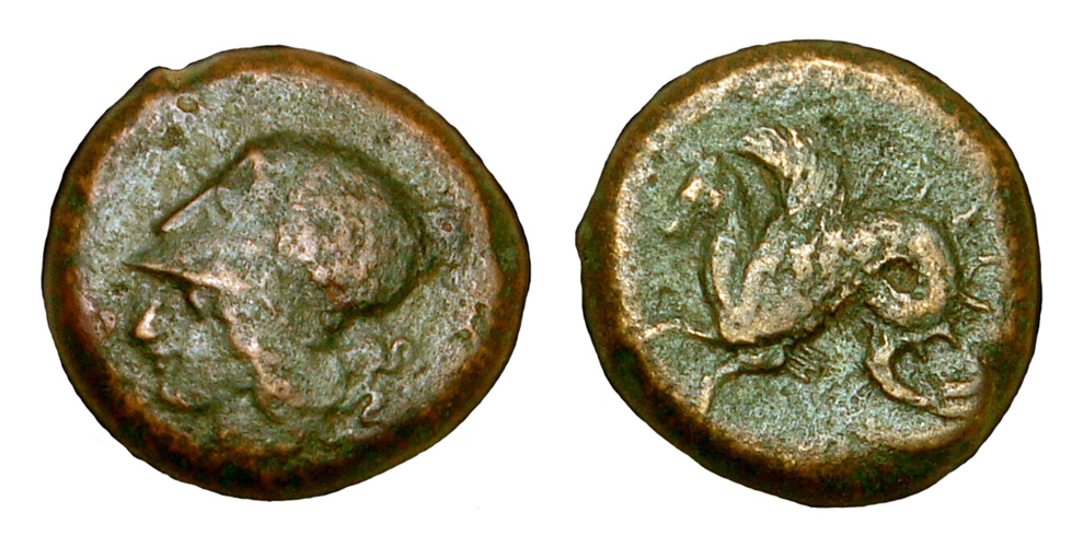 My-First-Animal-On-A-Coin.