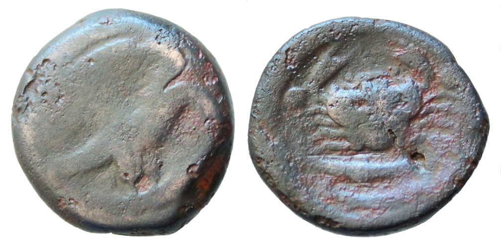 My-First-Animal-On-A-Coin.