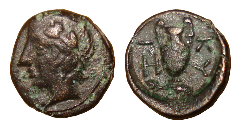 My-First-Animal-On-A-Coin.