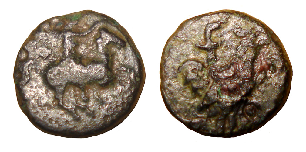 My-First-Animal-On-A-Coin.
