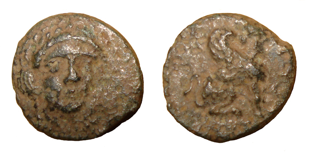 My-First-Animal-On-A-Coin.