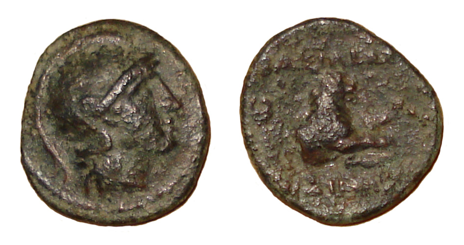 My-First-Animal-On-A-Coin.
