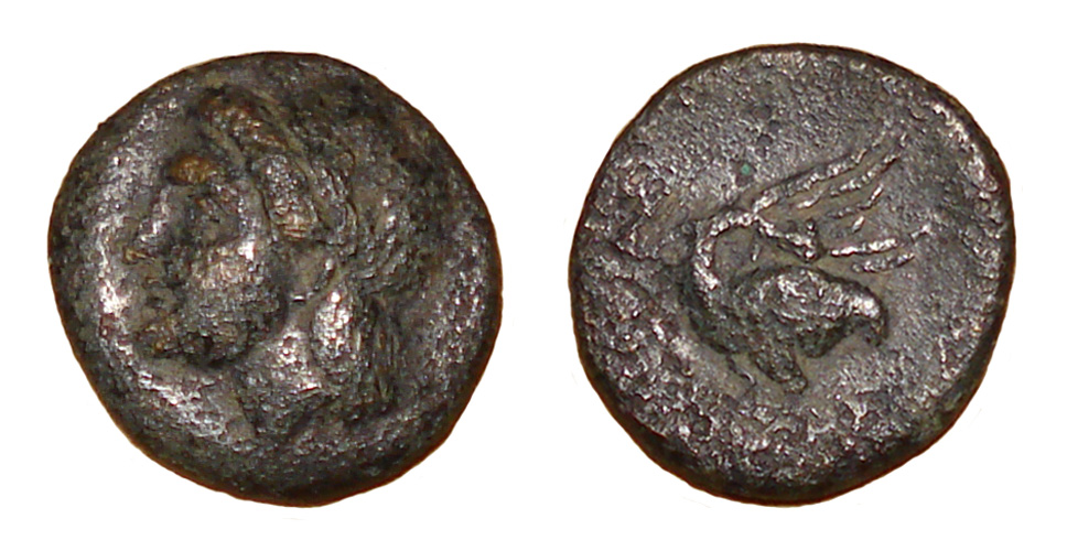 My-First-Animal-On-A-Coin.