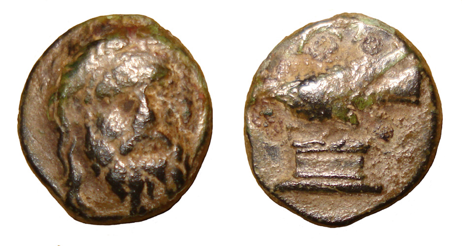 My-First-Animal-On-A-Coin.
