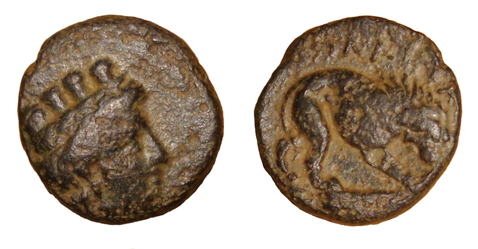 My-First-Animal-On-A-Coin.