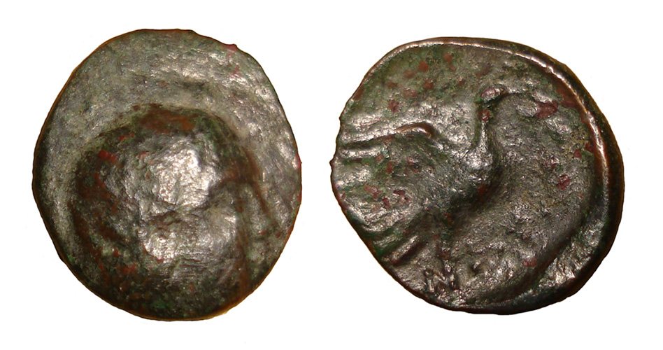My-First-Animal-On-A-Coin.