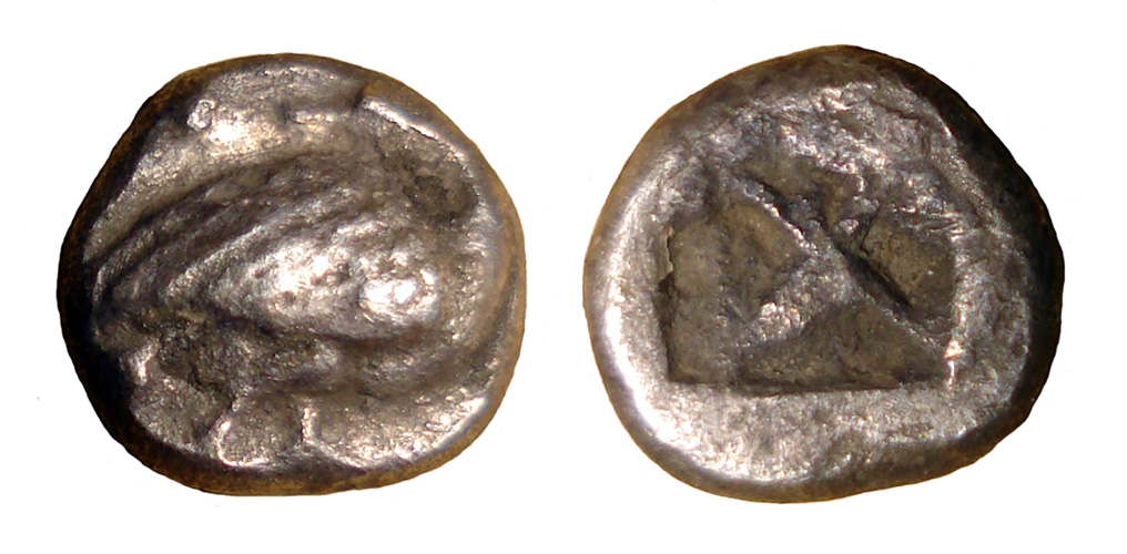My-First-Animal-On-A-Coin.