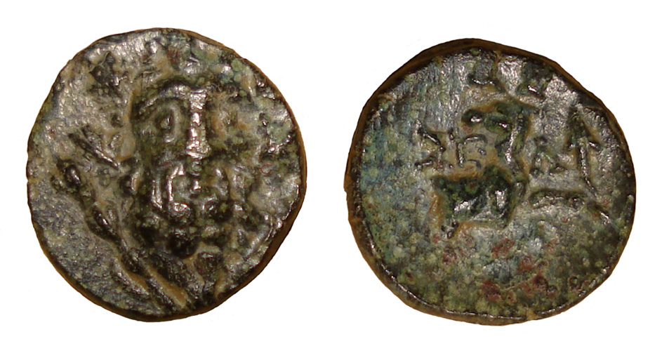 My-First-Animal-On-A-Coin.