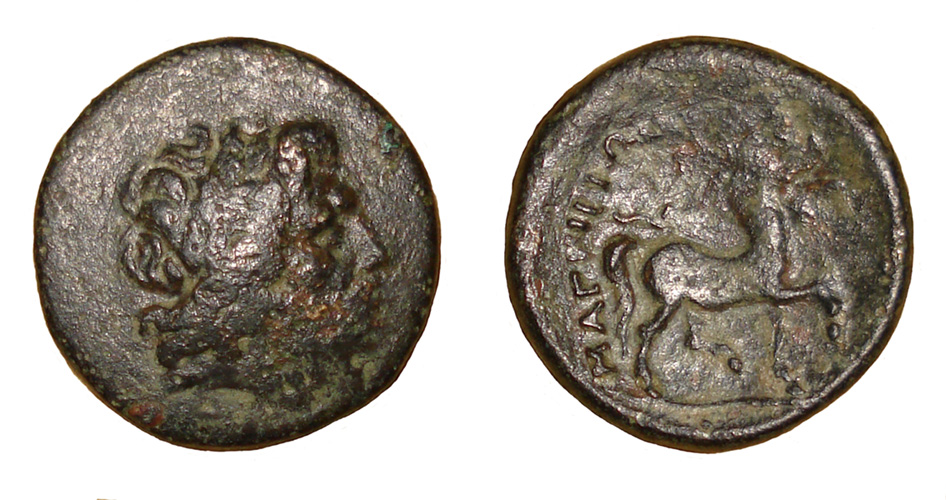 My-First-Animal-On-A-Coin.