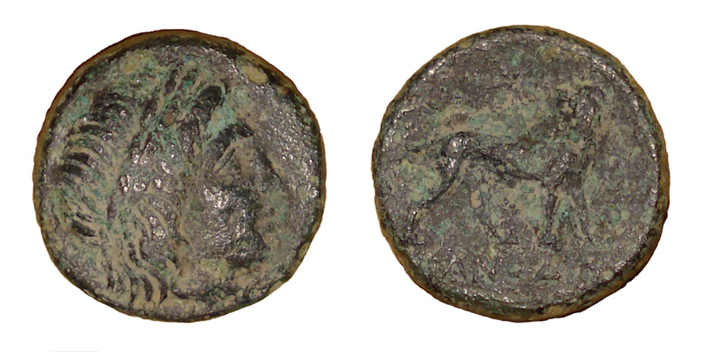 My-First-Animal-On-A-Coin.