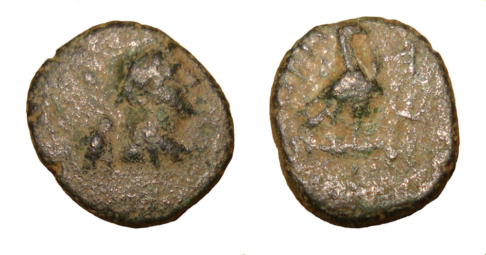 My-First-Animal-On-A-Coin.