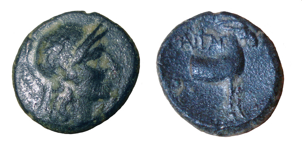 My-First-Animal-On-A-Coin.
