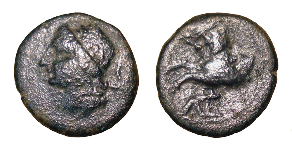 My-First-Animal-On-A-Coin.