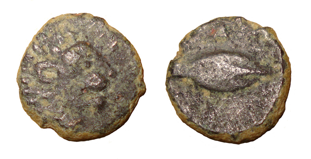 My-First-Animal-On-A-Coin.