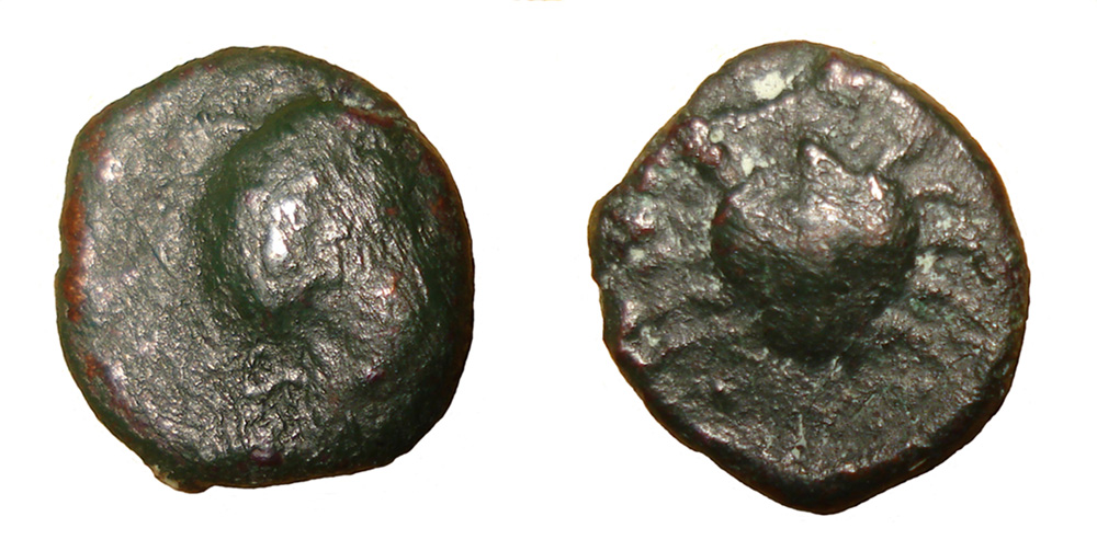 My-First-Animal-On-A-Coin.