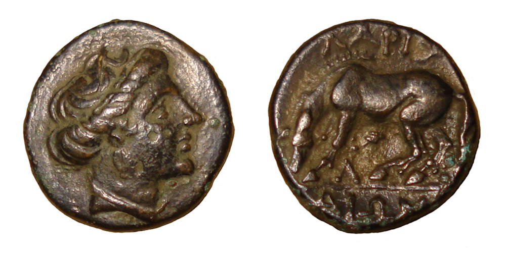 My-First-Animal-On-A-Coin.