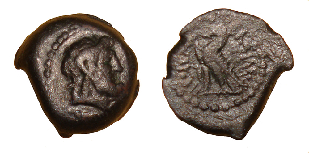 My-First-Animal-On-A-Coin.