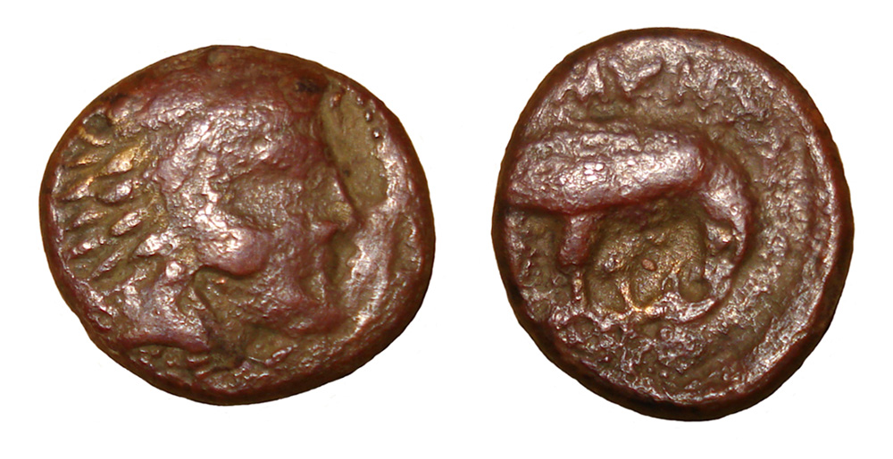 My-First-Animal-On-A-Coin.