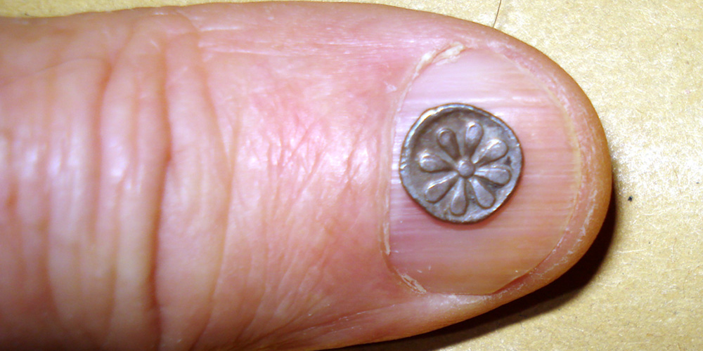 My-First-Animal-On-A-Coin.