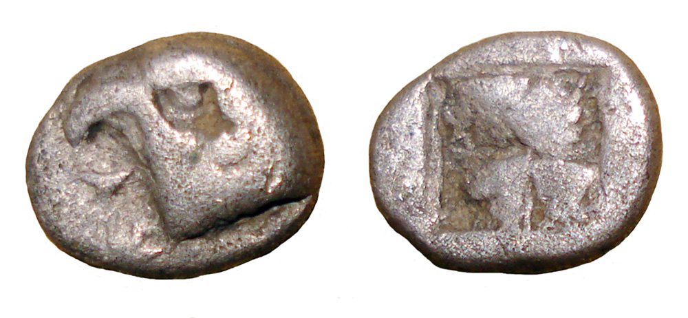 My-First-Animal-On-A-Coin.