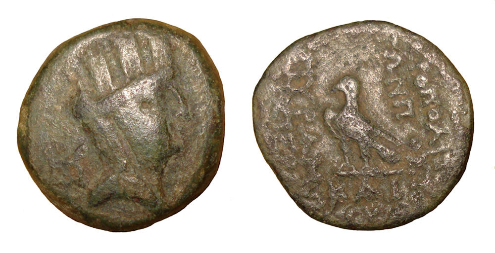 My-First-Animal-On-A-Coin.