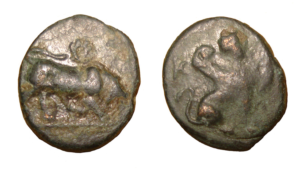 My-First-Animal-On-A-Coin.