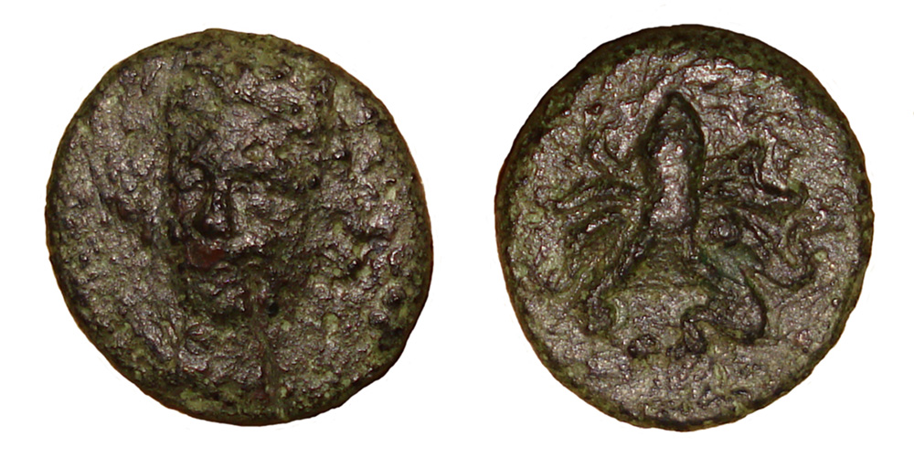 My-First-Animal-On-A-Coin.