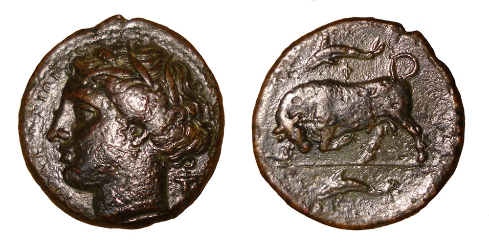 My-First-Animal-On-A-Coin.