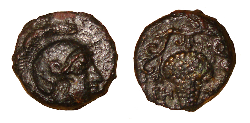 A-Bunch-Of-Grapes-From-Soloi
