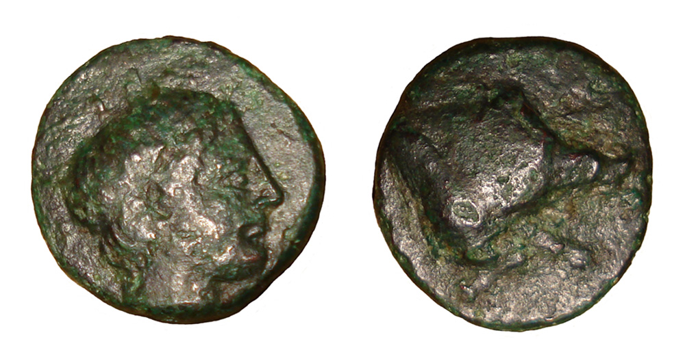 My-First-Animal-On-A-Coin.