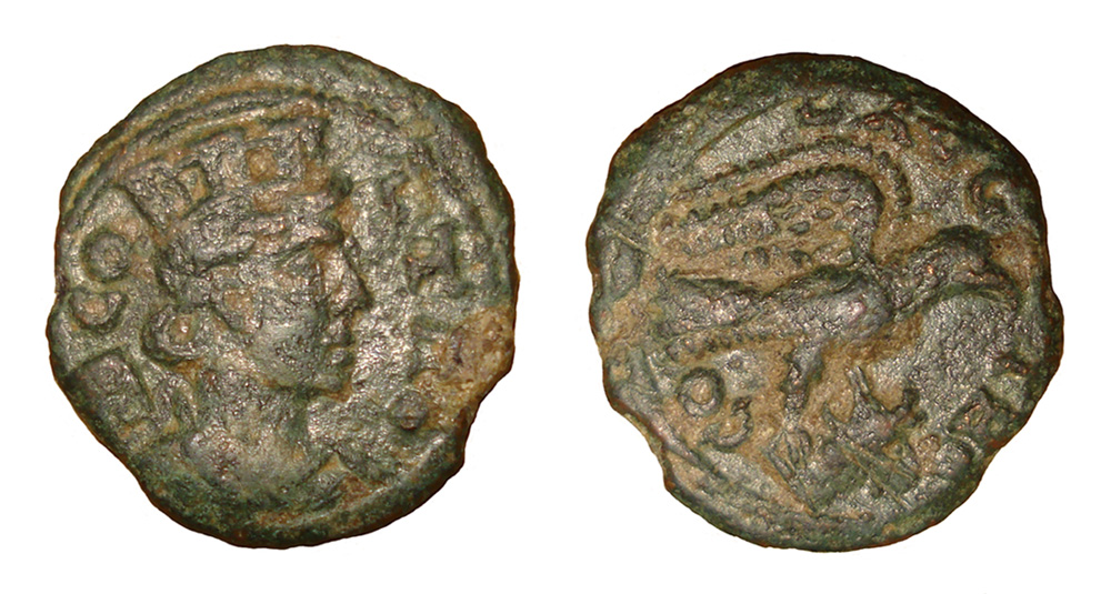My-First-Animal-On-A-Coin.
