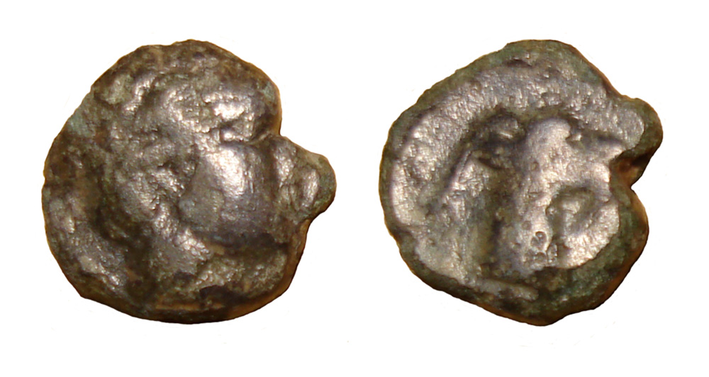 My-First-Animal-On-A-Coin.