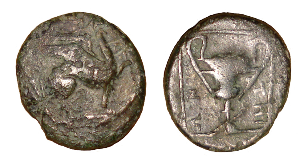 My-First-Animal-On-A-Coin.