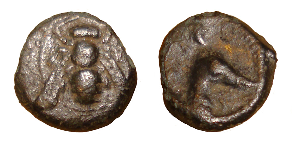 My-First-Animal-On-A-Coin.