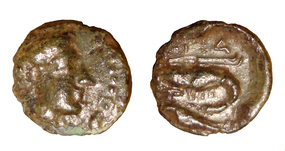 My-First-Animal-On-A-Coin.