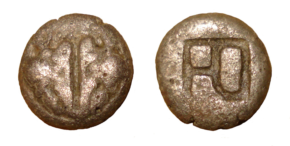 My-First-Animal-On-A-Coin.