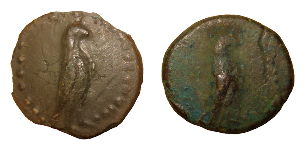 My-First-Animal-On-A-Coin.