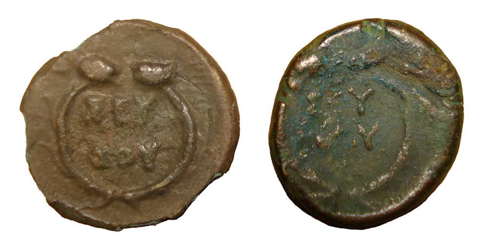 My-First-Animal-On-A-Coin.