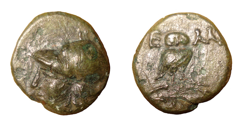 My-First-Animal-On-A-Coin.
