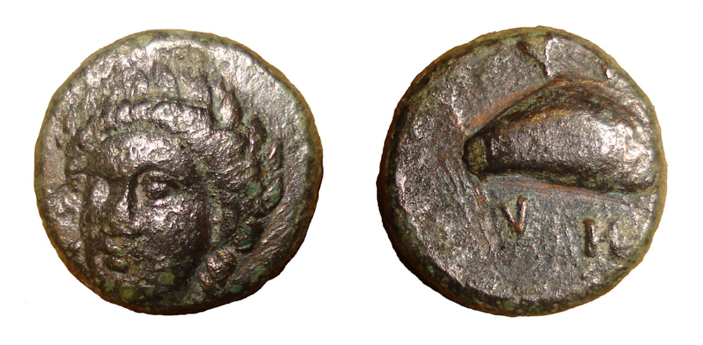 My-First-Animal-On-A-Coin.