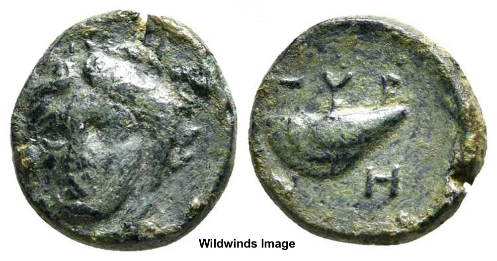 My-First-Animal-On-A-Coin.