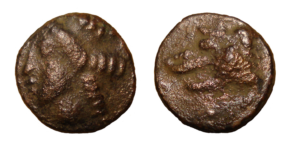 My-First-Animal-On-A-Coin.