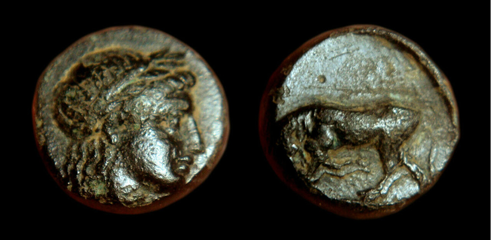 My-First-Animal-On-A-Coin.