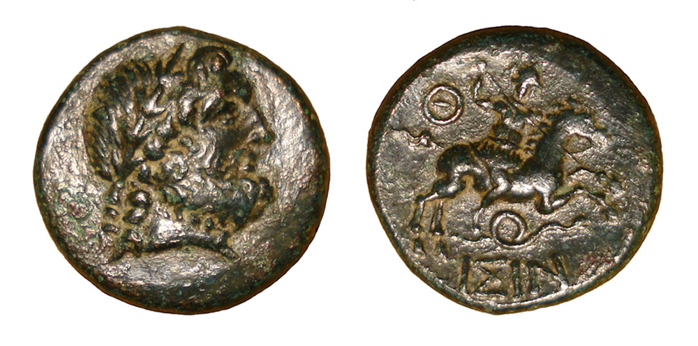 My-First-Animal-On-A-Coin.