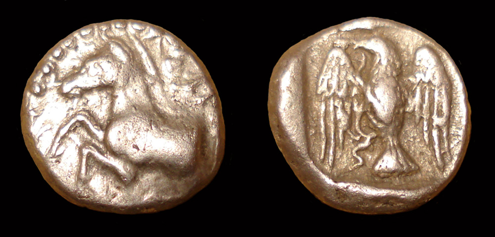 My-First-Animal-On-A-Coin.