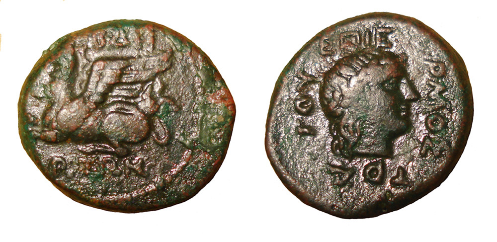 My-First-Animal-On-A-Coin.